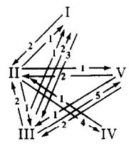 Exchange patterns in Economy D exhibited by classifier systems.